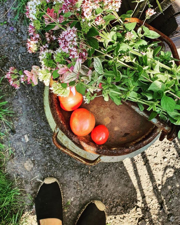 Babie Lato B&B Uniejow Dış mekan fotoğraf