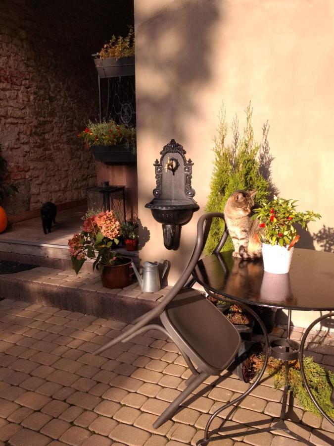 Babie Lato B&B Uniejow Dış mekan fotoğraf